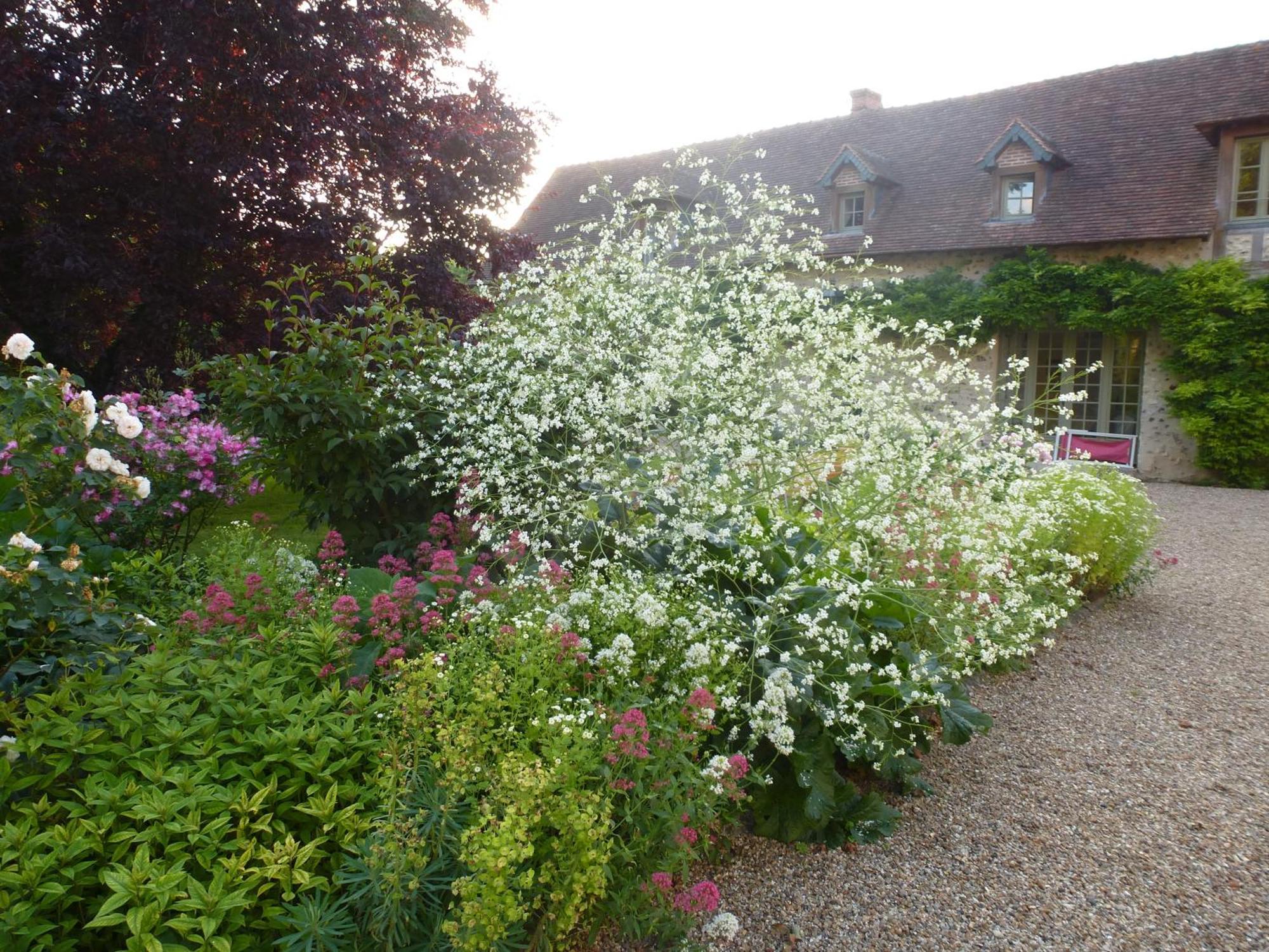 Gite Et Chambres D'Hotes Clos De Mondetour Fontaine-sous-Jouy Buitenkant foto