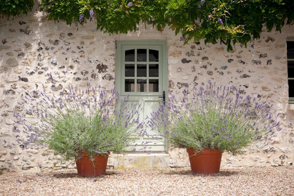 Gite Et Chambres D'Hotes Clos De Mondetour Fontaine-sous-Jouy Buitenkant foto